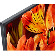 Màn Hình Chuyên Dụng Sony Bravia 55-Inch 4K UHD HDR 620nit Edge LED (FW-55BZ35F)