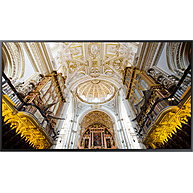 Màn Hình Quảng Cáo Chuyên Dụng SAMSUNG QB49N 49-Inch 4K UHD 350nit New Edge (LH49QBNEBGC/XV)