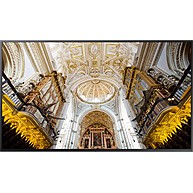 Màn Hình Quảng Cáo Chuyên Dụng SAMSUNG QM65N 65-Inch 4K UHD 500nit New Edge (LH65QMNEBGC/XV)