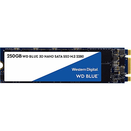 Ổ Cứng SSD WD Blue 250GB SATA M.2 2280 (WDS250G2B0B)