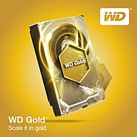Ổ Cứng HDD 3.5" WD Gold 8TB SATA 7200RPM 128MB Cache (WD8003FRYZ)
