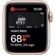 Đồng Hồ Thông Minh Apple Watch SE GPS + Cellular 40mm Gold Viền Nhôm Dây Cao Su (MYEA2VN/A)