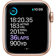 Đồng Hồ Thông Minh Apple Watch Series 6 GPS 40mm Gold Viền Nhôm Dây Cao Su (MG123VN/A)