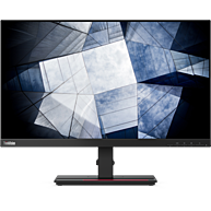 Màn Hình Máy Tính Lenovo ThinkVision P24h-20 23.8" IPS 2K WQHD 60Hz (61F4GAR1WW)