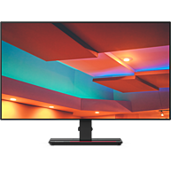 Màn Hình Máy Tính Lenovo ThinkVision P27h-20 27" IPS 2K QHD 60Hz USB-C Hub (61E9GAR6WW)