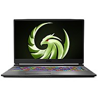 Máy Tính Xách Tay MSI Alpha 15 A4DEK-027VN AMD Ryzen 7 4800H/8GB DDR4/512GB SSD PCIe/AMD Radeon RX 5600M 6GB GDDR6/Win 10 Home
