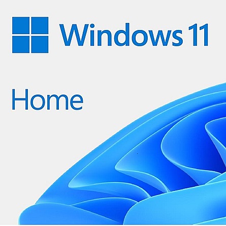 Phần Mềm Ứng Dụng Microsoft Windows Home 11 64-bit All Lng PK Lic Online DwnLd NR (KW9-00664)