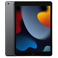 Máy Tính Bảng Apple iPad 9th-Gen 256GB 10.2-Inch WiFi Gray (MK2N3ZA/A)