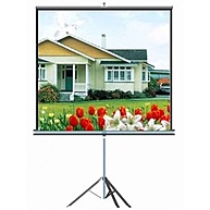Phụ Kiện Máy Chiếu DALITE Màn chiếu Tripod 150" 3.05m x 2.25m
