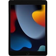 Máy Tính Bảng Apple iPad 9th-Gen 64GB 10.2-Inch Grey (MK473ZA/A)