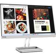 Màn Hình Máy Tính Lenovo L24i-40 23.8-Inch (67A8KAC3VN)