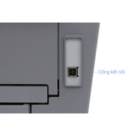 Máy In Laser Brother DCP-L2520D