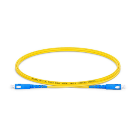 Dây Cáp Mạng SC/UPC-SC/UPC dài 1M, phi 3.0mm, Duplex