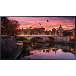 Màn Hình Chuyên Dụng Samsung QB55R 55-Inch 4K UHD 350nit Edge LED Blu (LH55QBREBGCX/XV) Màn Hình Chuyên Dụng Samsung QB55R 55-Inch 4K UHD 350nit Edge LED Blu (LH55QBREBGCX/XV)