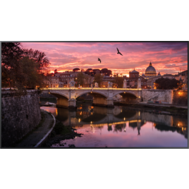 Màn Hình Chuyên Dụng Samsung QB65R 65-Inch 4K UHD 350nit Edge LED Blu (LH65QBREBGCX/XV) Màn Hình Chuyên Dụng Samsung QB65R 65-Inch 4K UHD 350nit Edge LED Blu (LH65QBREBGCX/XV)